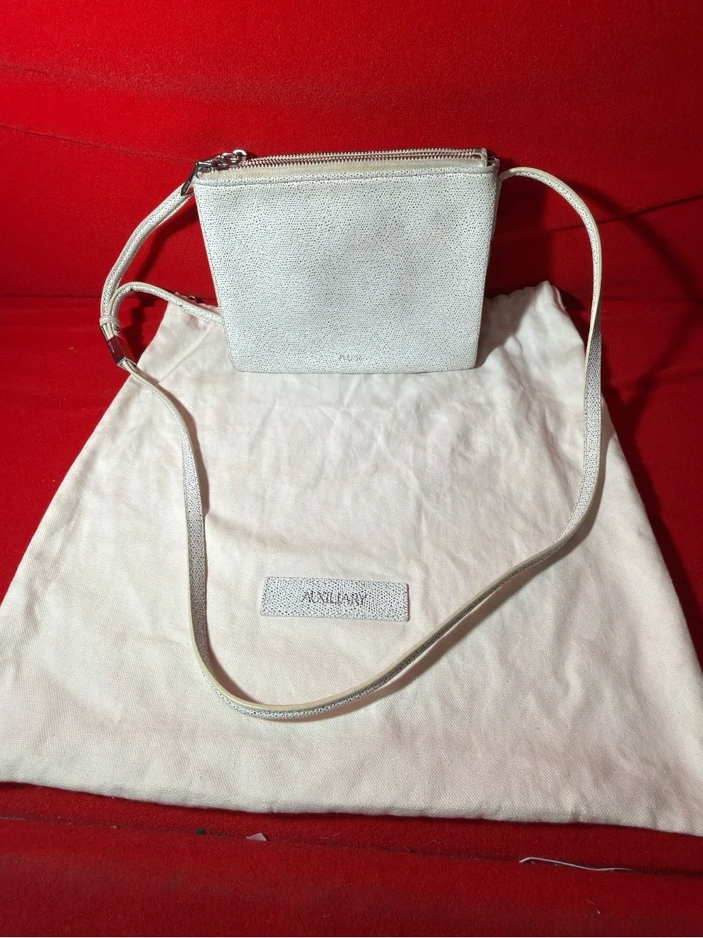 White Pebbles Leather Bag Aritzia Auxiliary - Sleek Everyday Shoulder Purse